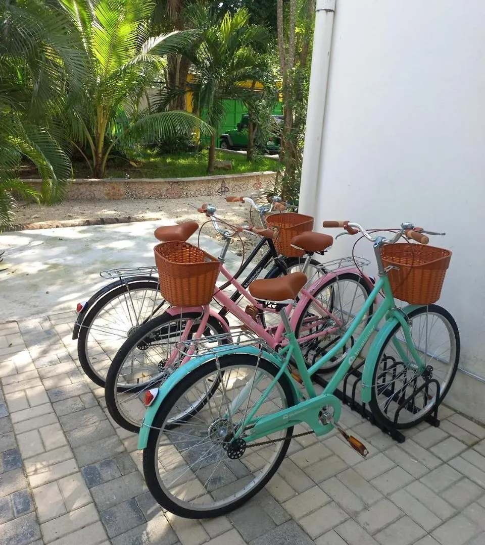 Urbaneden 'Another Day In Paradise' Playa del Carmen